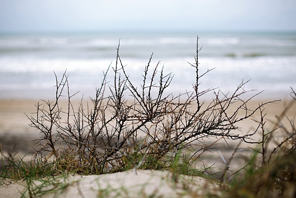 Lønstrup LP#3